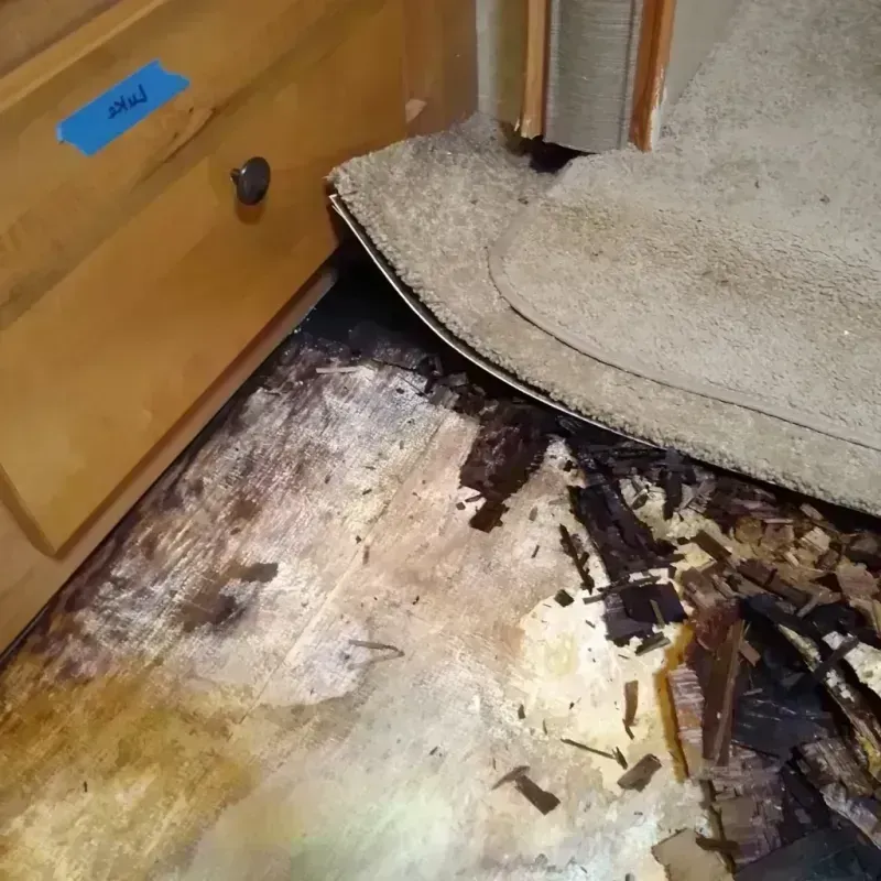 Wood Floor Water Damage in Chester, NY